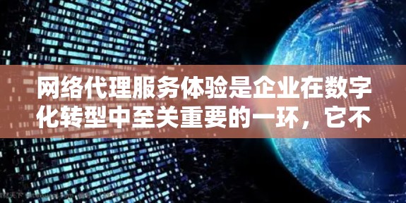 网络代理服务体验是企业在数字化转型中至关重要的一环，它不仅直接影响企业的运营效率和资源利用，还直接影响企业的客户满意度和忠诚度。以下是对网络代理服务体验的详细阐述