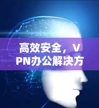 高效安全,VPN办公解决方案 高效安全,VPN办公解决方案