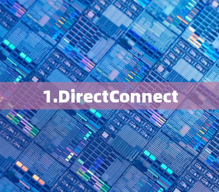 1.DirectConnect