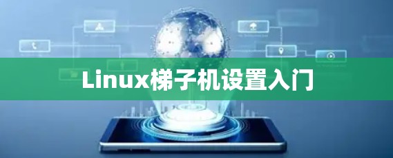 Linux梯子机设置入门 Linux梯子机设置入门