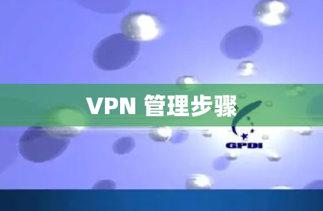 VPN 管理步骤