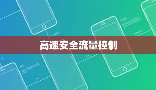 高速安全流量控制