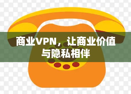 商业VPN，让商业价值与隐私相伴