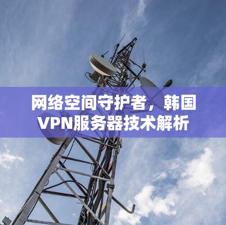 网络空间守护者,韩国VPN服务器技术解析 网络空间守护者,韩国VPN服务器技术解析