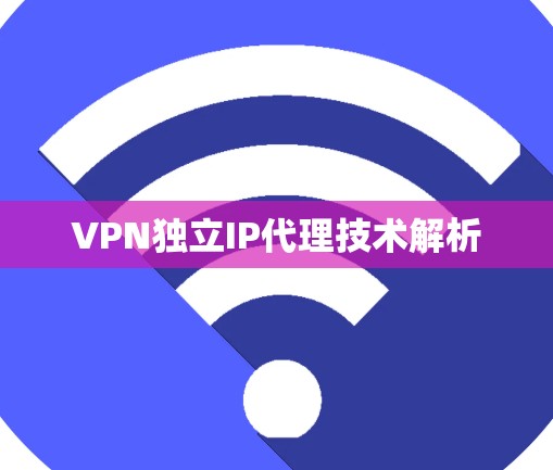 VPN独立IP代理技术解析 VPN独立IP代理技术解析