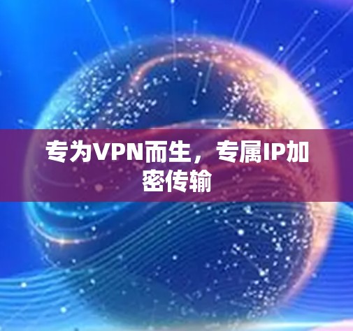 专为VPN而生，专属IP加密传输