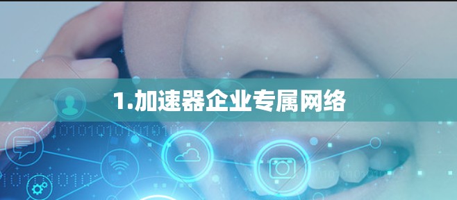 1.加速器企业专属网络 1.加速器企业专属网络