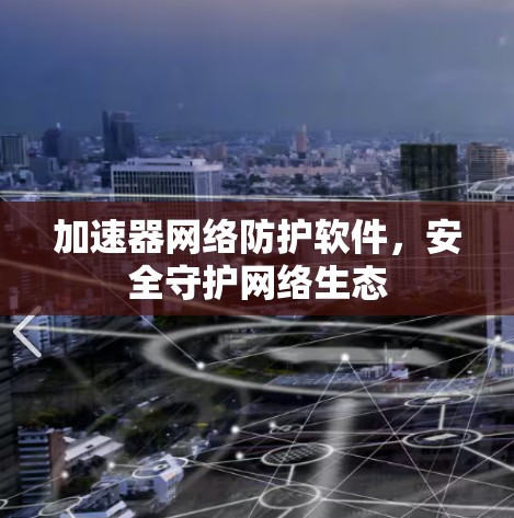 加速器网络防护软件，安全守护网络生态