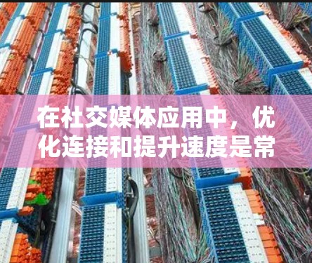 在社交媒体应用中，优化连接和提升速度是常见的需求。以下是一些推荐的加速器，并提供一些实用的小技巧，帮助你更好地使用加速工具